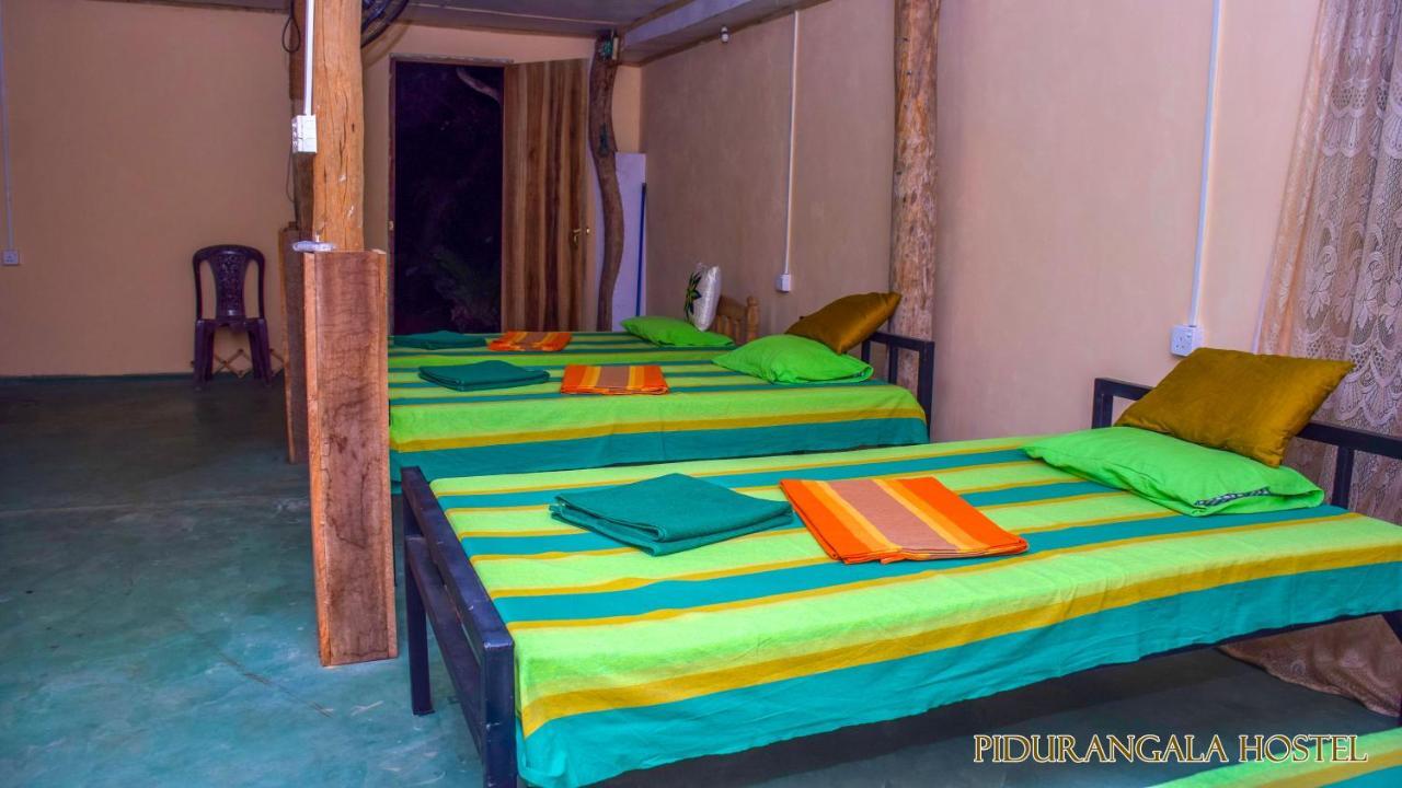 Pidurangala Hostel Sigiriya Exteriör bild