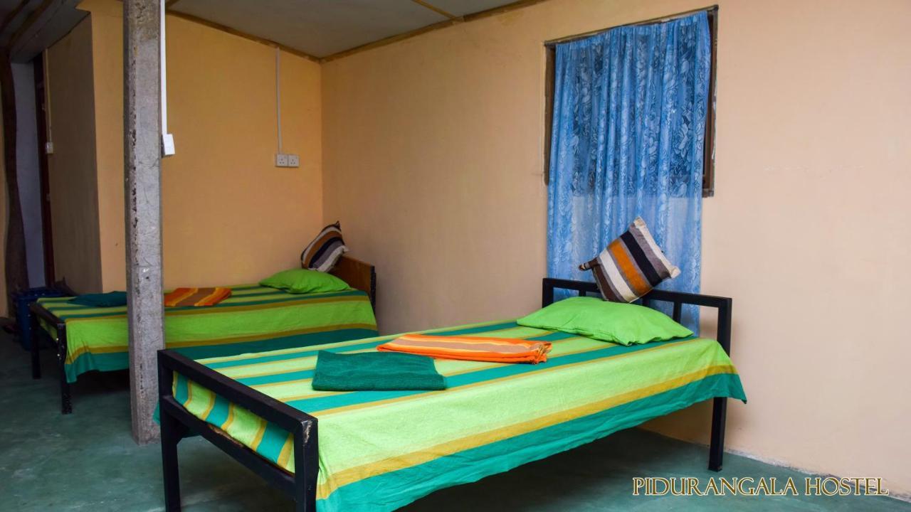 Pidurangala Hostel Sigiriya Exteriör bild