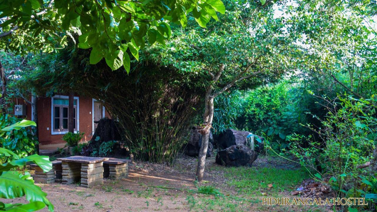 Pidurangala Hostel Sigiriya Exteriör bild