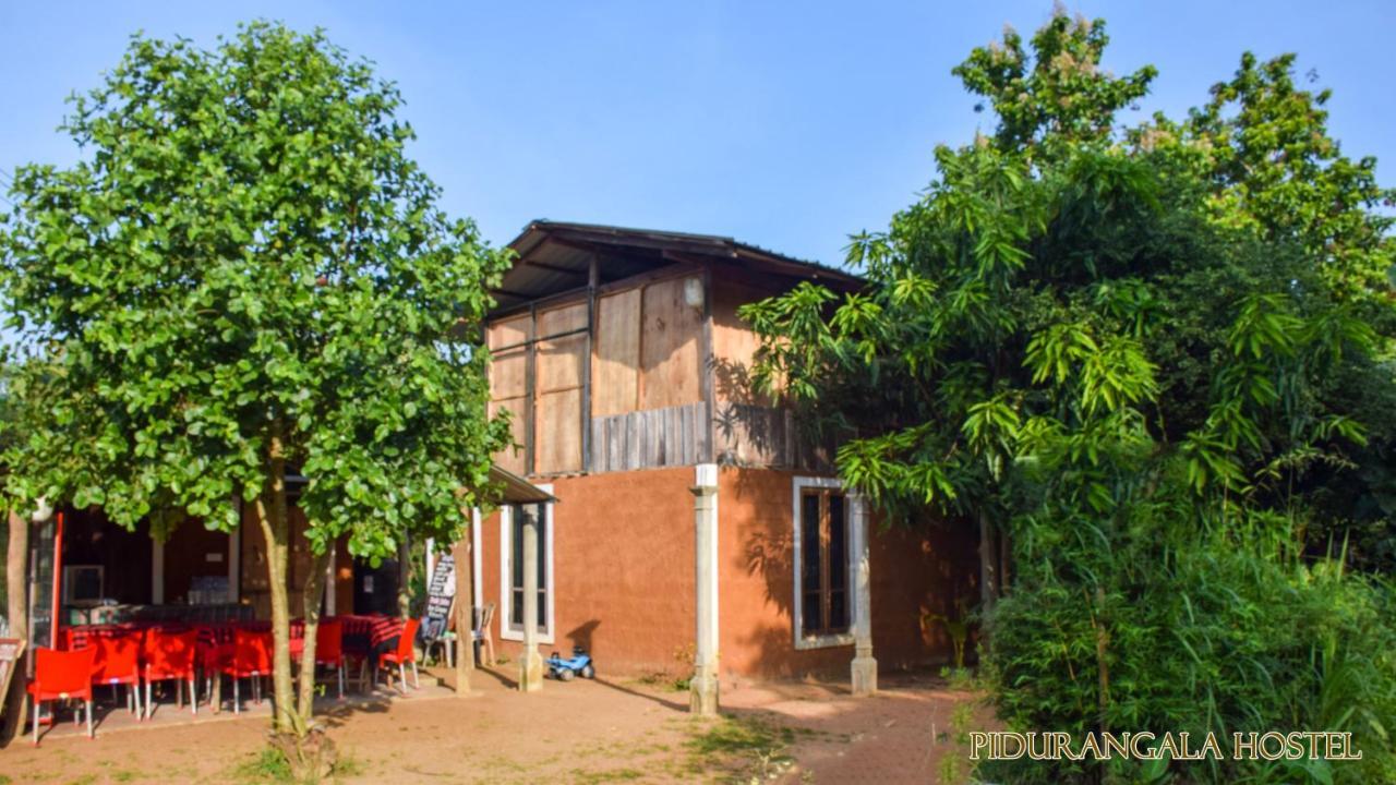 Pidurangala Hostel Sigiriya Exteriör bild