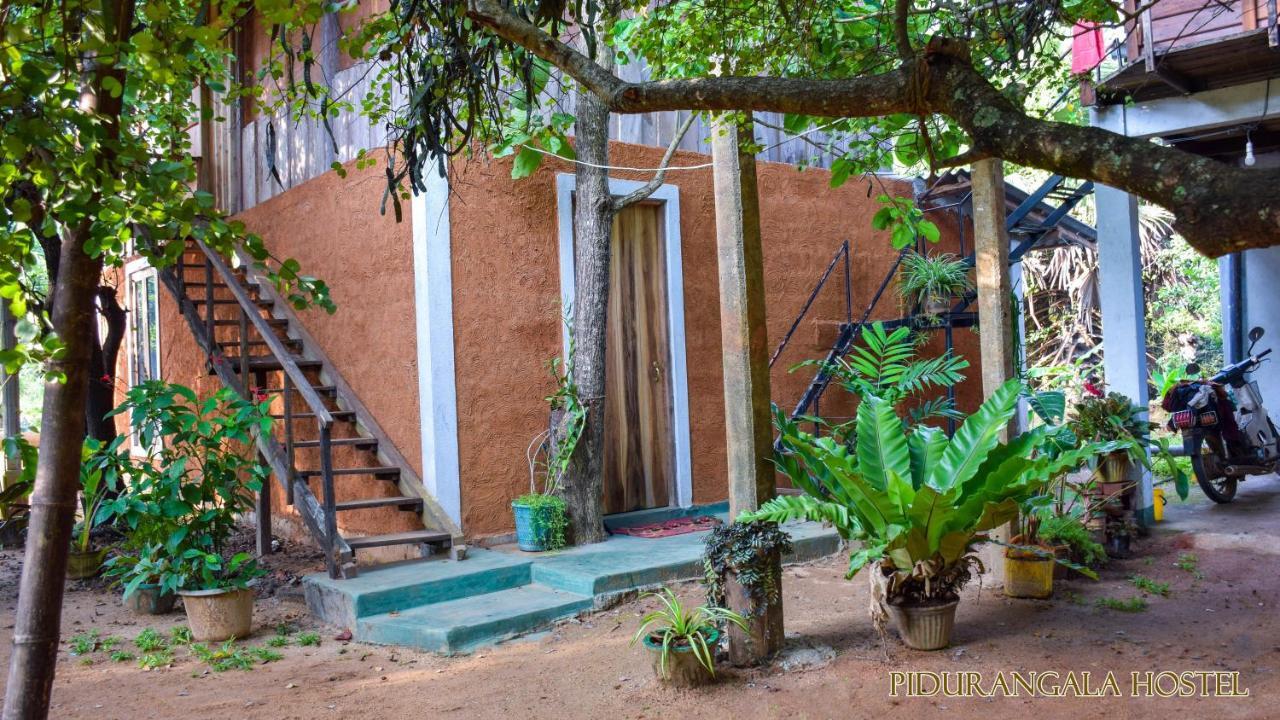 Pidurangala Hostel Sigiriya Exteriör bild
