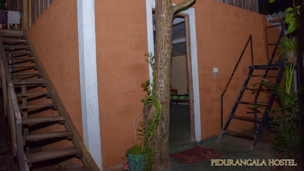 Pidurangala Hostel Sigiriya Exteriör bild