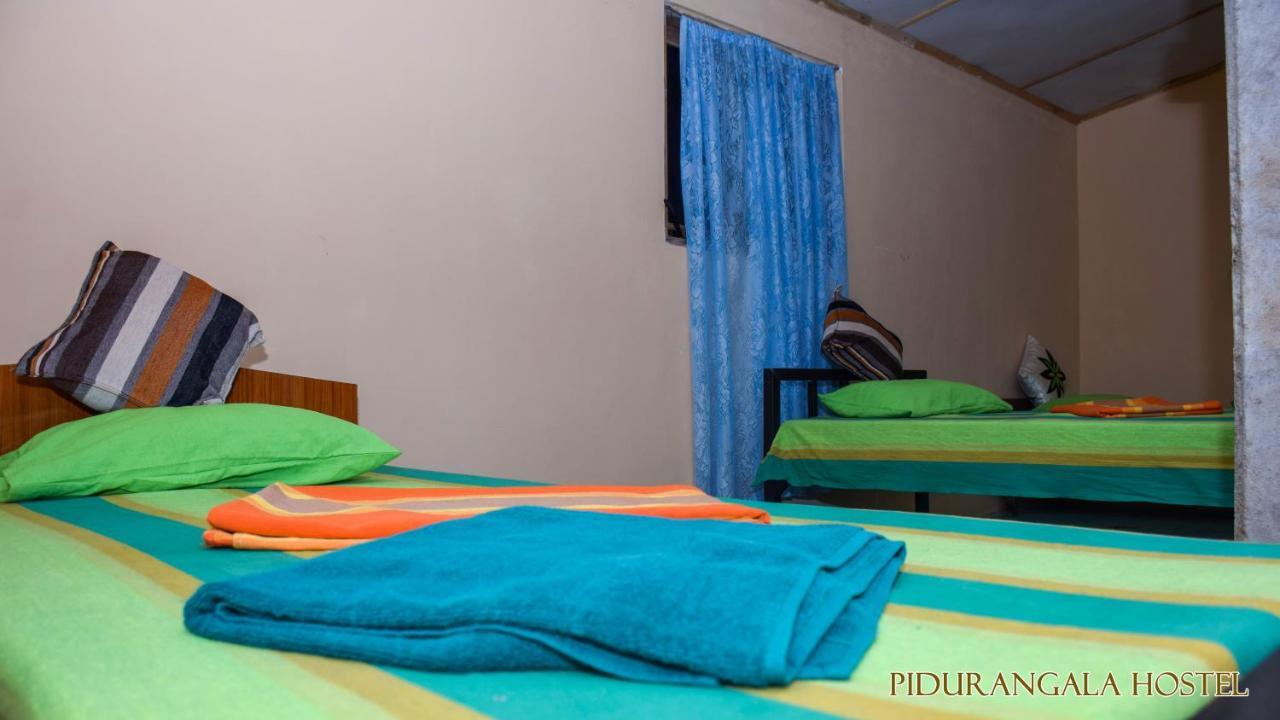 Pidurangala Hostel Sigiriya Exteriör bild