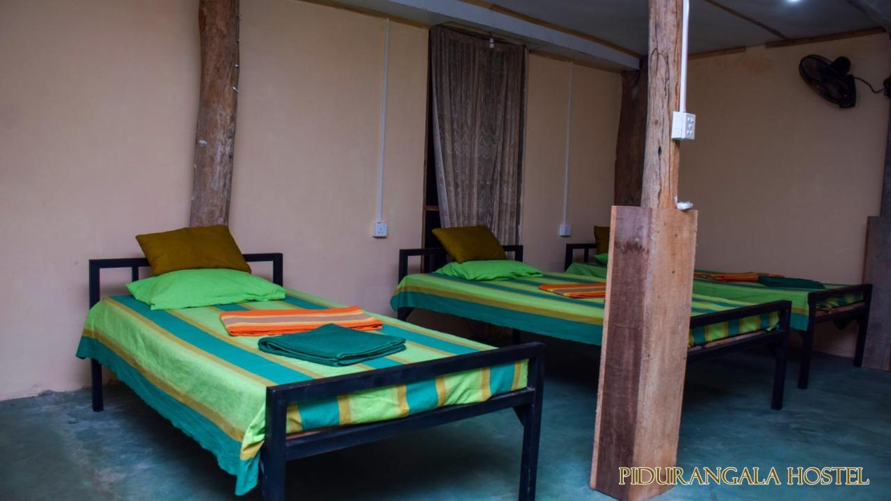Pidurangala Hostel Sigiriya Exteriör bild