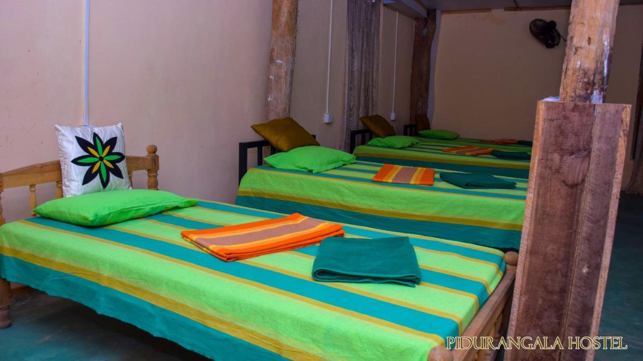 Pidurangala Hostel Sigiriya Exteriör bild