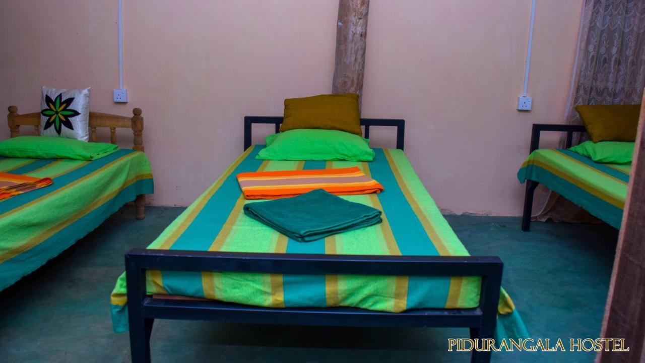 Pidurangala Hostel Sigiriya Exteriör bild